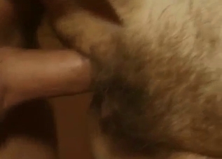 Busty old mom fucked by younger son